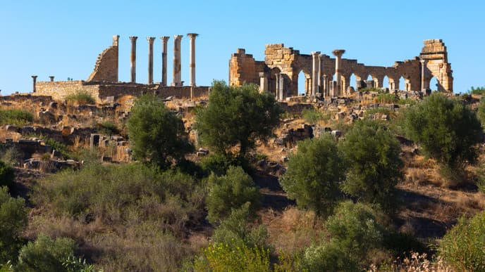 Journey to Fes