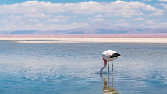 Another Day in the Desert