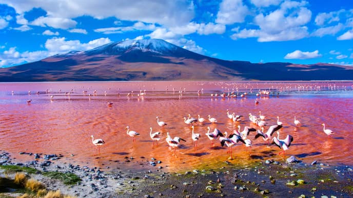 Visit an active volcano