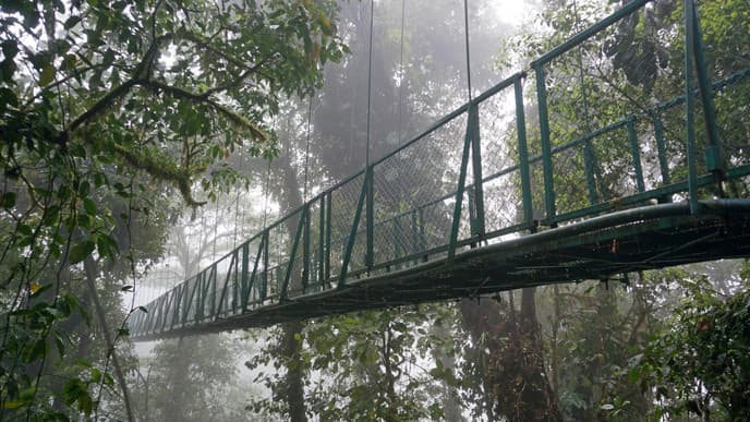 Get Close to a Quetzal at Selvatura Park