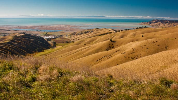 Hop to South Island
