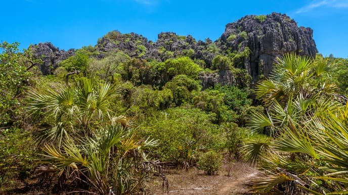 Eine ganz spezielle Unterkunft mitten in der Natur
