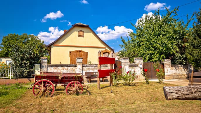 Delve into traditional village life