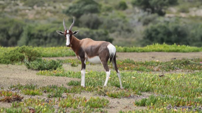 Wanderungen durch die Natur