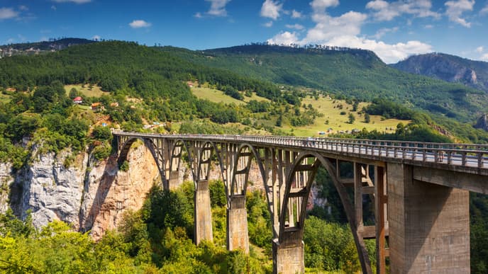 Dive into the Beauty of Black Lake