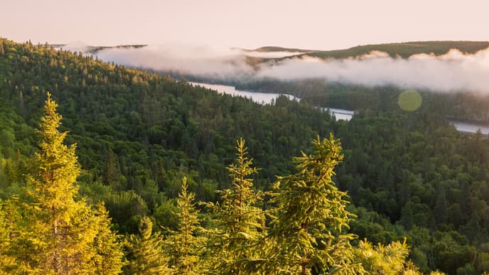 Explore the Charm of Montreal