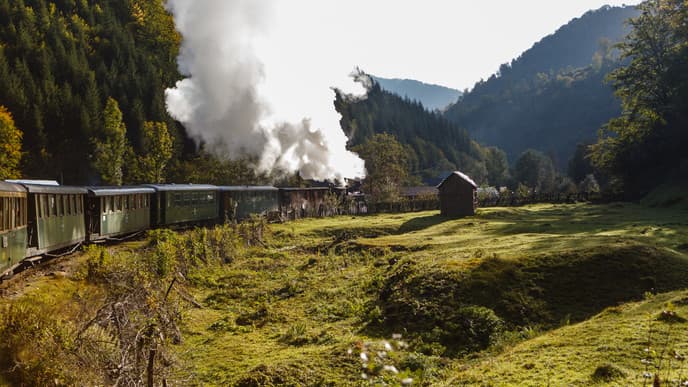Hop On A Steam Train!