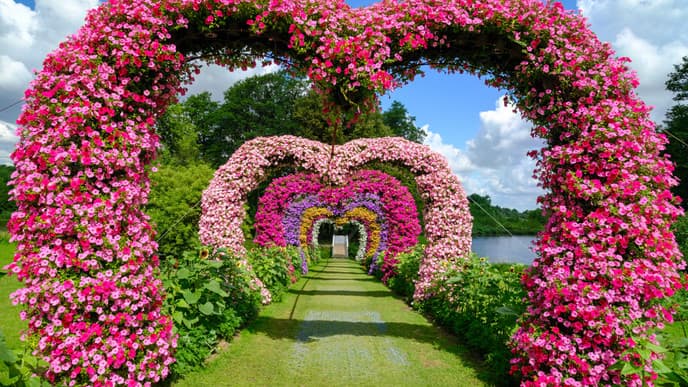 A wonderful journey to Anyksciai