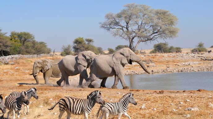 Visit the Tsumeb Museum