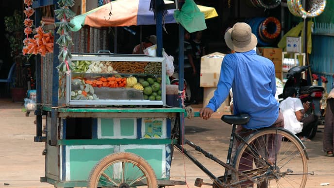 Free Day and Phare Circus