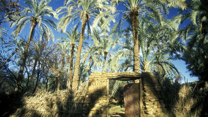 Last desert adventure