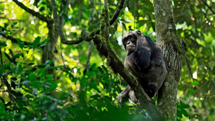 Journey South to the Great Crater Lakes