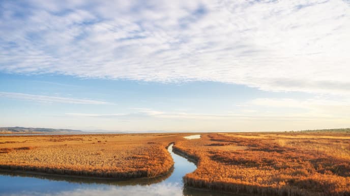 Karavasta Lagoon & Wine Tasting