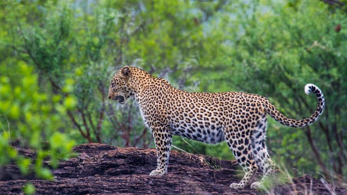 Journey to Chitwan National Park