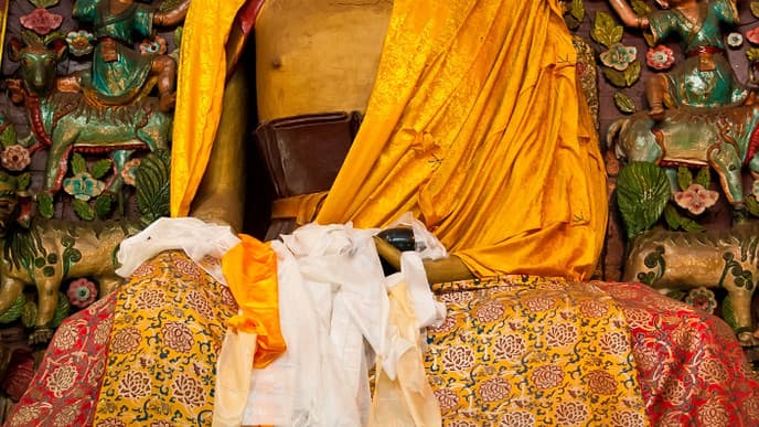 Immerse yourself in the beauty of Darjeeling