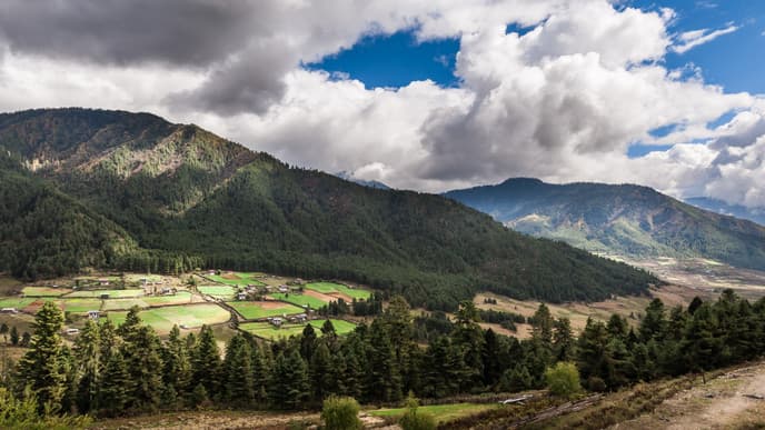 Phobjikha- The Valley of Black Necked Cranes