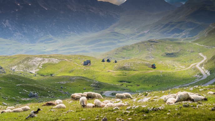 Day 1: Explore the Beauty of Durmitor National Park