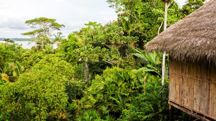 See the Amazon's impressive clay licks