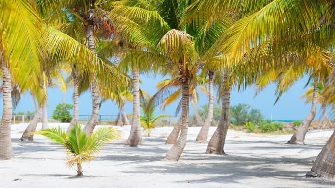 Autofreies Inselparadies Holbox