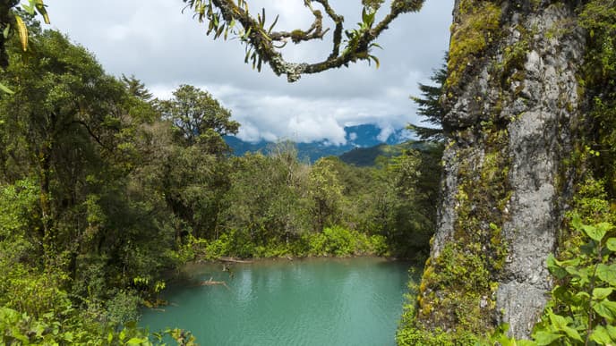 A rich landscape of green & blue
