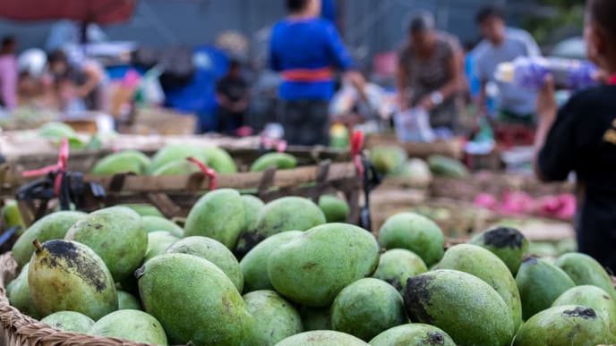 Enjoy an Authentic Market Day