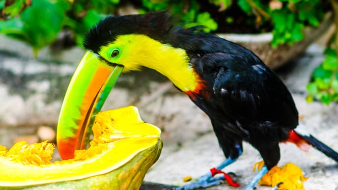 Welcome To Santa Marta!