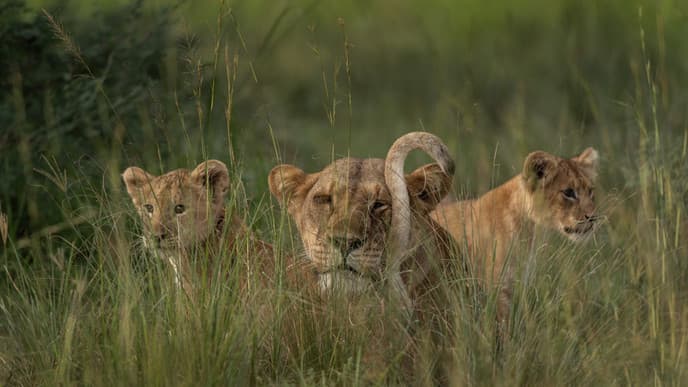 The 'Switzerland of Africa'
