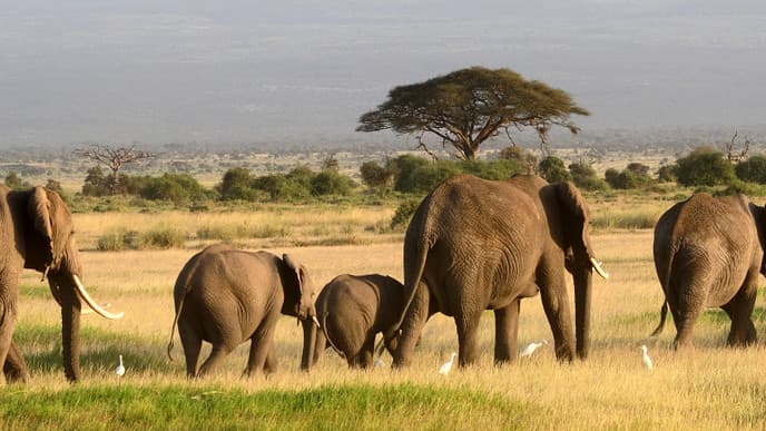 Samburu National Reservat entdecken