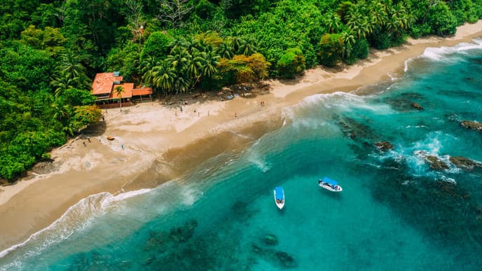 Explore marine life off Caño Island