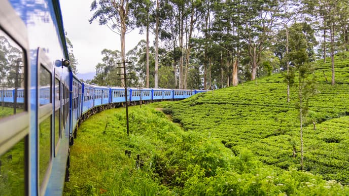 Teeplantagen und Nuwara Eliya