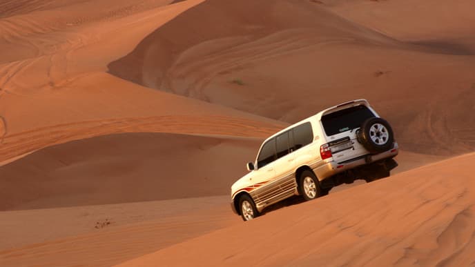 Embark on a Desert Safari