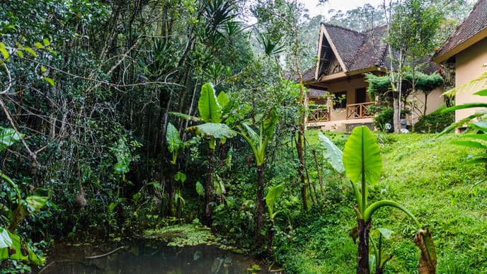 Have Fun In Andasibe