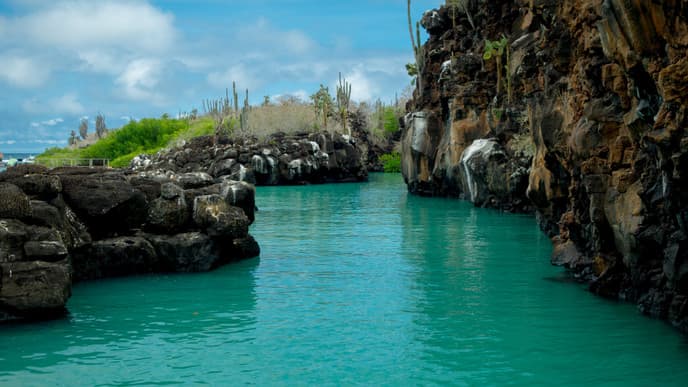 Sea lions & snorkeling