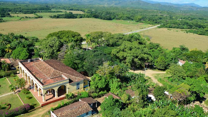 Discover sugar & ceramics