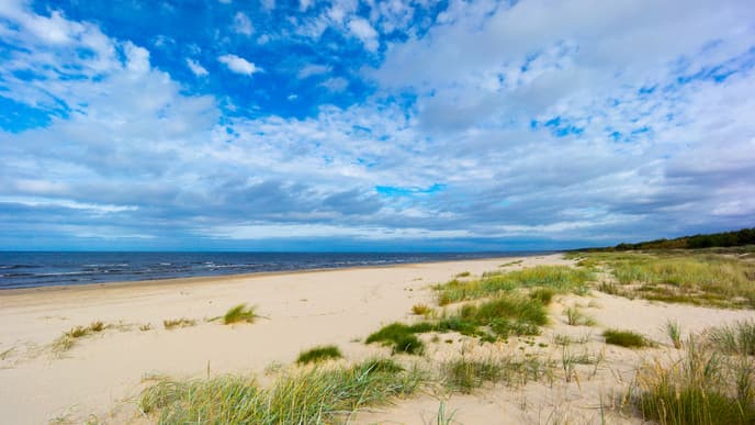 See an Old Resort and a National Park