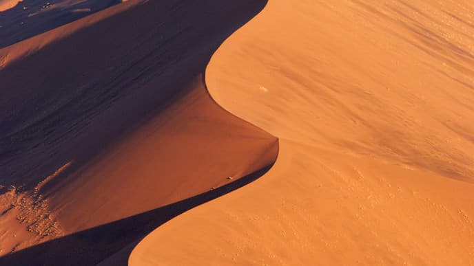 A Day in the Desert