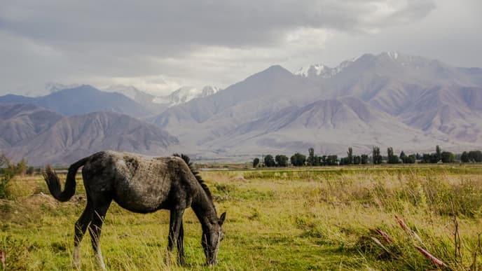 Beim Pferdeausritt wunderschöne Täler erobern