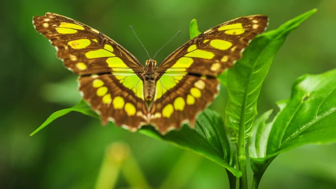 Relax in a rainforest eco-lodge
