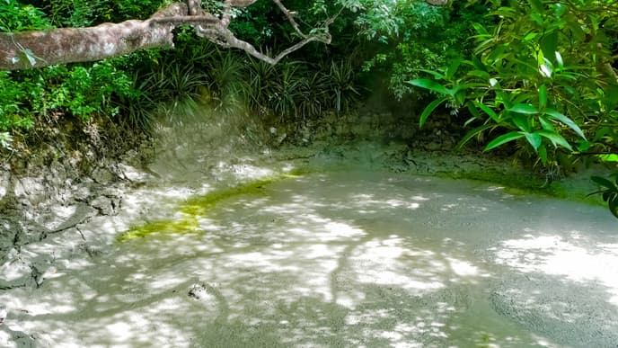 Erkundung des Rincon de la Vieja Nationalparks