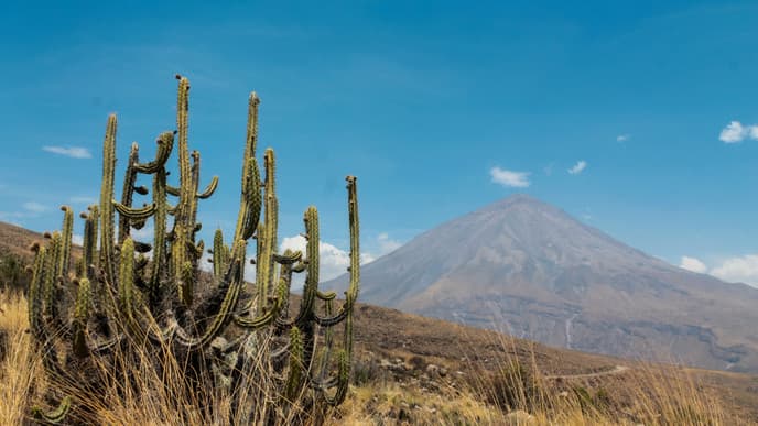Uncover the mysteries of the Nazca Lines