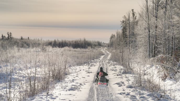 Ride a Snowmobile and Visit the Sami Reindeer and Husky Farm