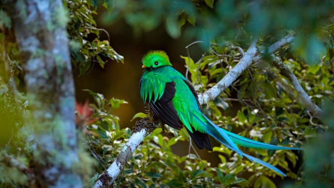 The natural charms of Los Santos