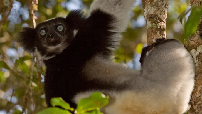 Tierbegegnungen im Privatreservat VOIMMA