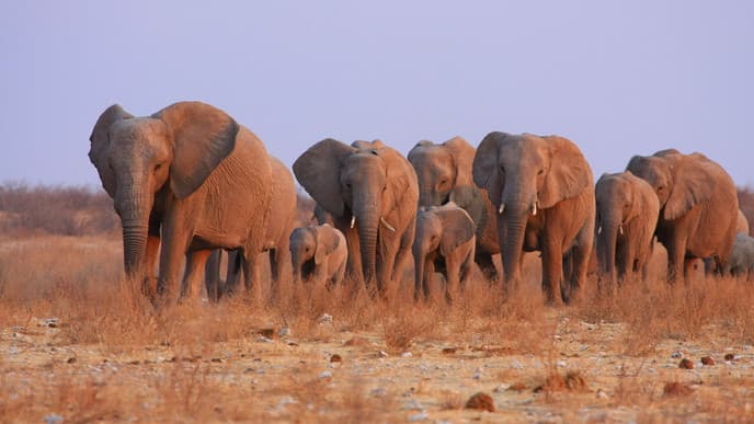 Abfahrt aus der Namib Wüste nach Windhoek oder Swakopmund