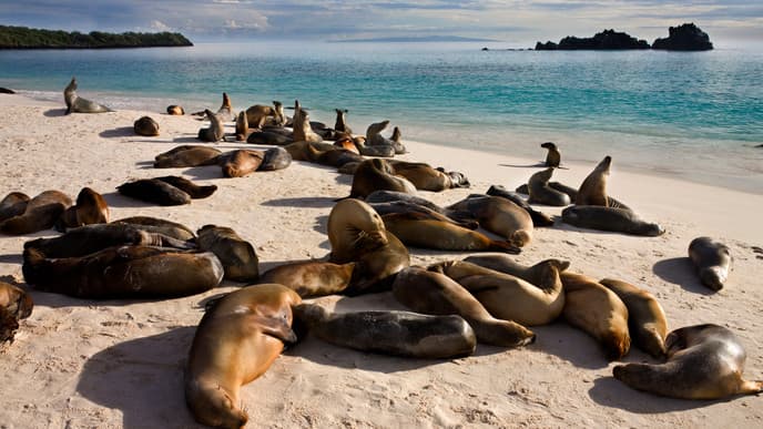 Highlands of San Cristobal & La Lobería