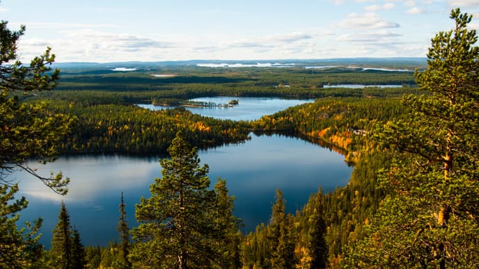 Experience a Real Lappish Picnic!