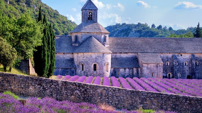 Welcome to Avignon, in the heart of Provence
