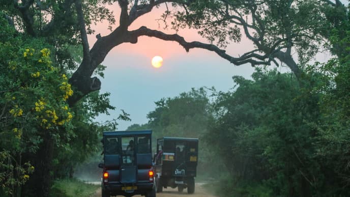 Jeep tour & treasure hunt