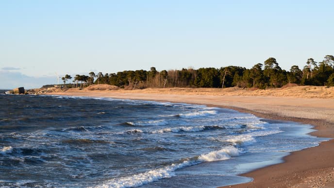 The City With it's Own Character