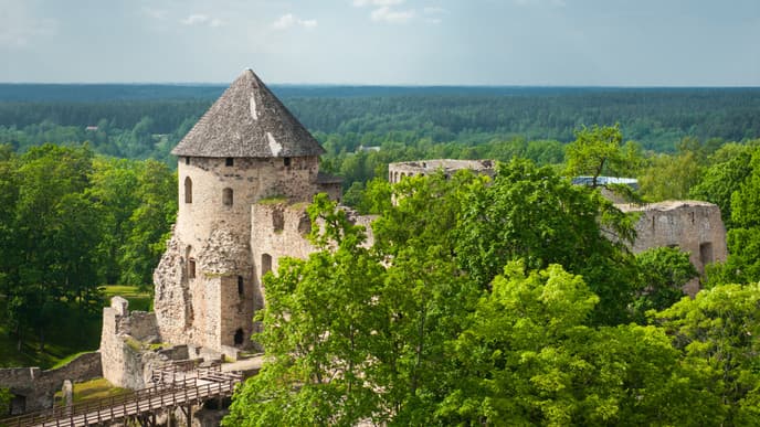 Die Burg und Altstadt in Cesis